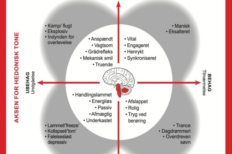 Neuroaffektivt blik på depressive tilstande