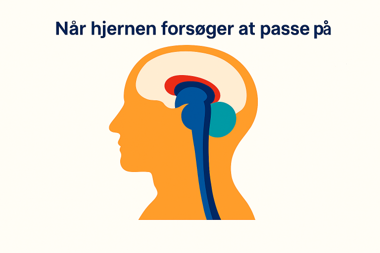 Hjernens samspil mellem følelser, krop og regulering